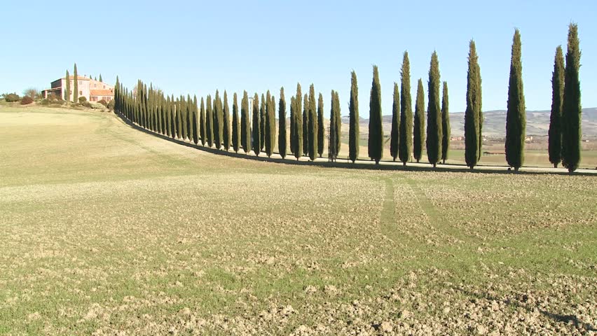 TUSCANY, ITALY-CIRCA 2011-A wide shot of a farm villa with long rows of trees in Tuscany, Italy.
