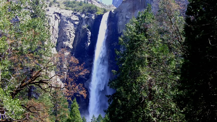 Bridalveil Falls in Yosemite Valley: water plummeting over a high cliff as seen through a gap in the pine forest. 