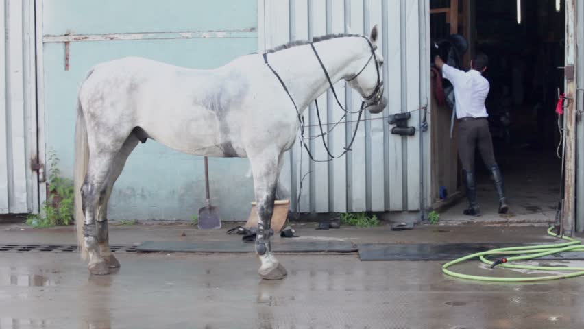 Horseman puts saddle in stable and his horse stand near