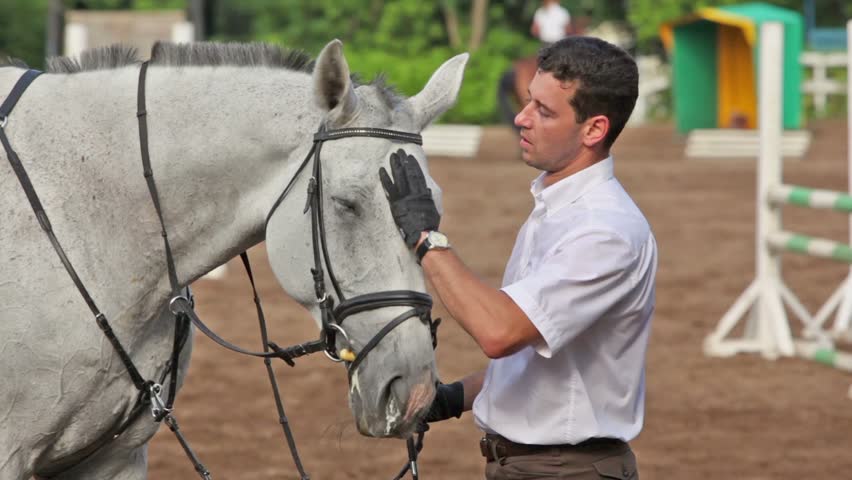 Man pats horse head and then lead it away on equestrian field at sunny summer day
