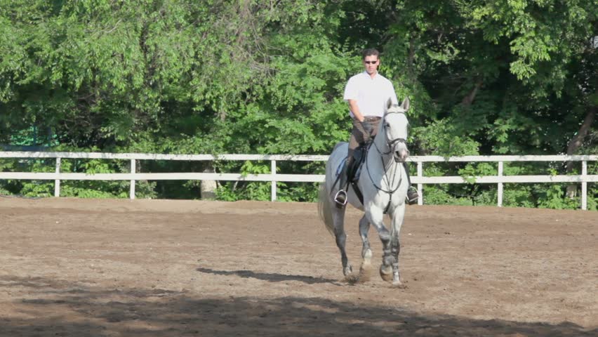 Man rides on horseback by equestrian field at sunny summer day