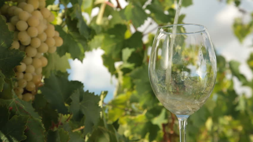 Pouring a Glass of White Wine