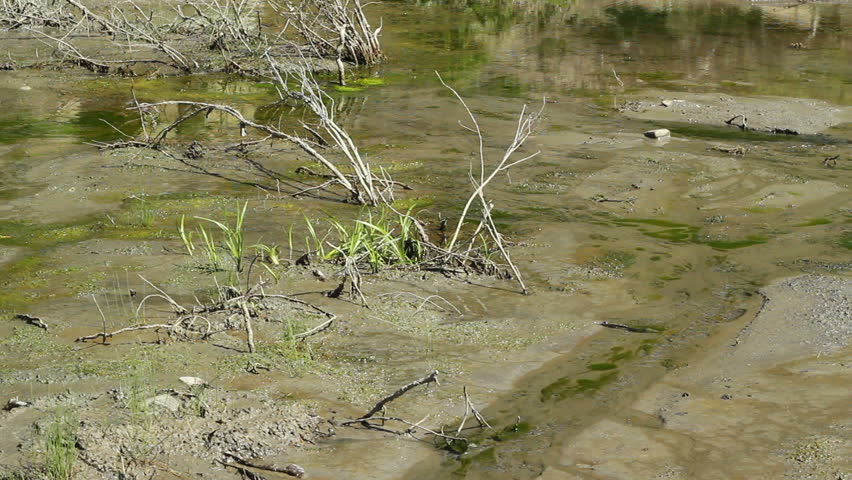 Creek drying up from drought in the summer.