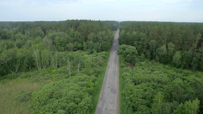 flight over beautiful evergreen forest and road 