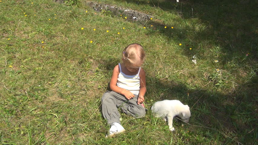 Little Girl Having Fun Playing with her Dog, Child Petting her Puppy