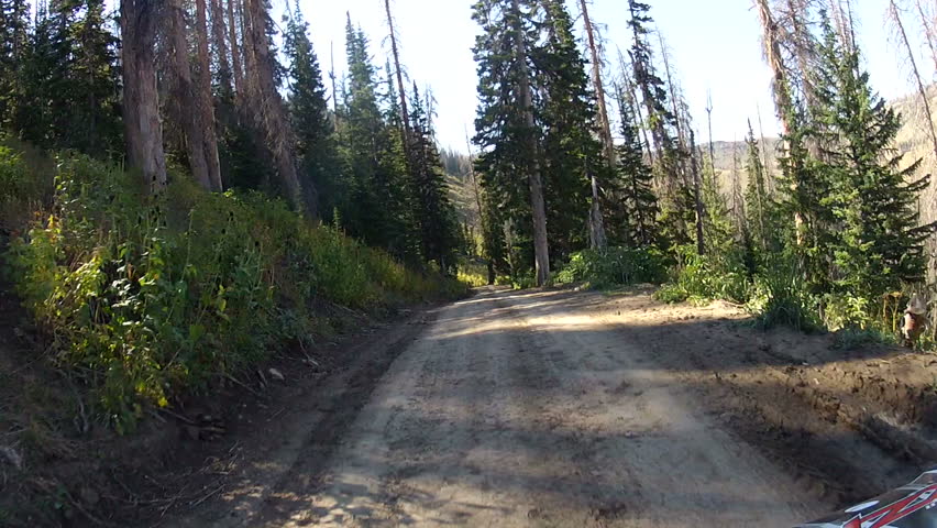 Mountain forest ride ATV sun flare. Fun outdoor recreation with husband and wife couple. Riding in the Rocky Mountains in the Manti LaSal National Forest. Famous Skyline drive and Arapeen OHV Trail. 