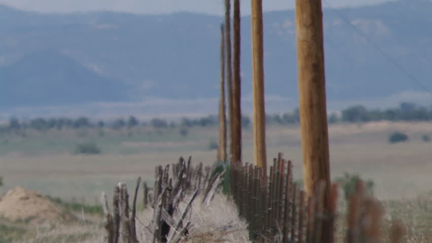 A telephoto shot looking down a barbed wire fence with telephone poles.