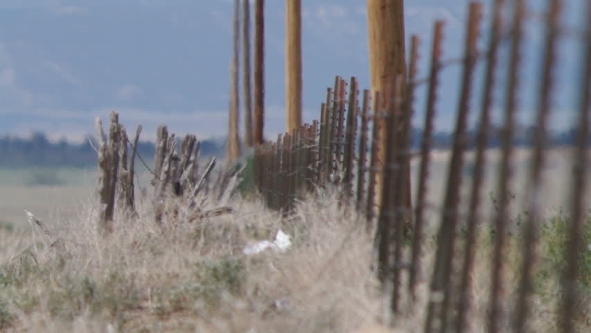 A telephoto shot looking down a barbed wire fence with telephone poles.