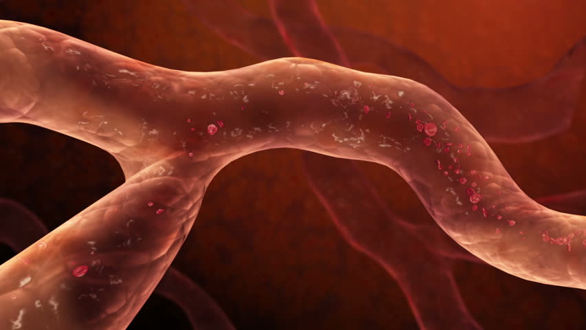 Blood Cells Flow seamless loop