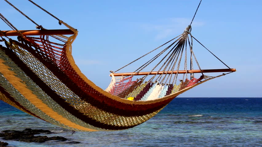Hammock at the Cove