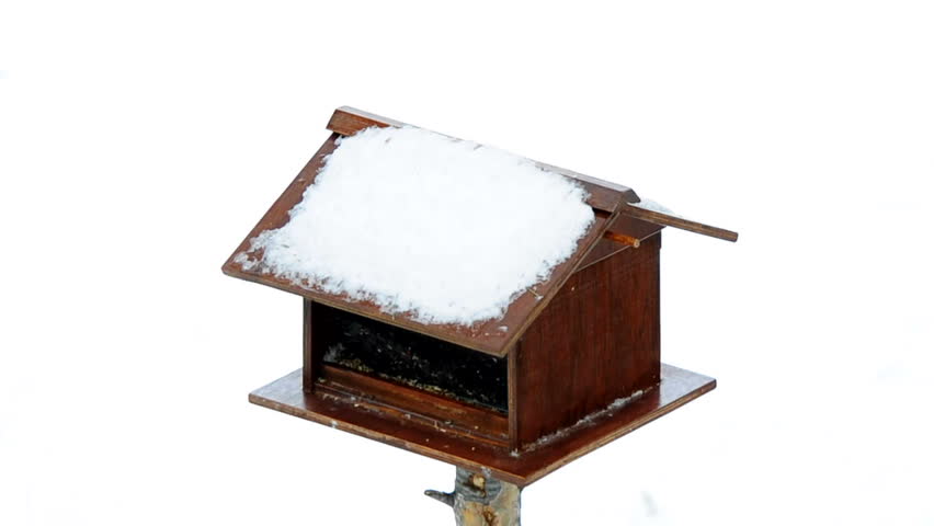 Bird feeder and tit birds during winter.