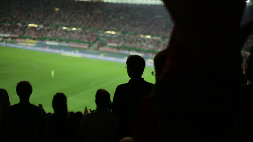 Soccer fans in stadium
