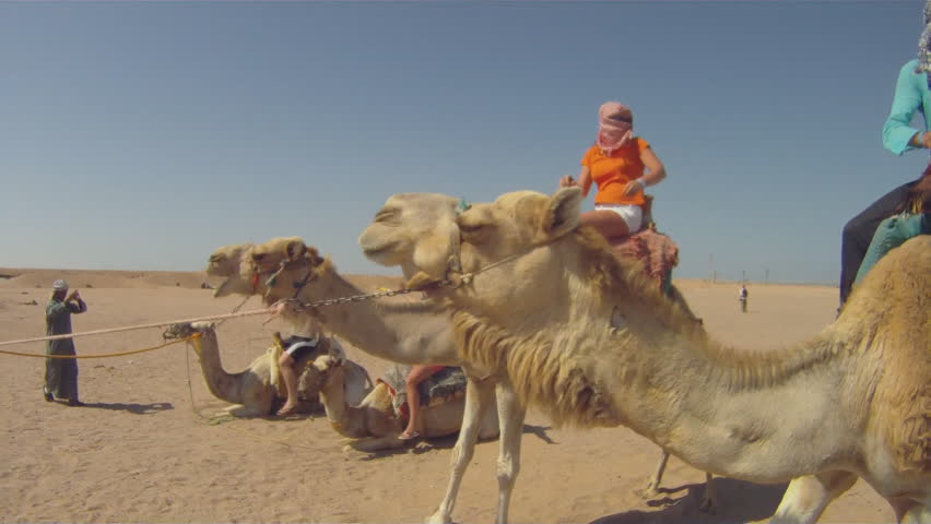 SAHARA, EGYPT - MAY 7, 2011:
Tourists ride camels through the Sahara Desert  05/07/201.