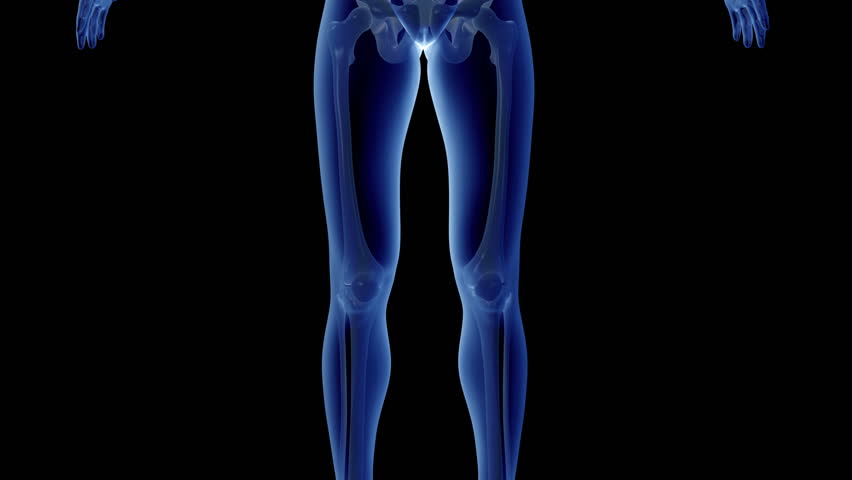 knee pain 