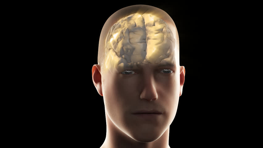 Close-up rotation about 3D rendered human with transparent head to show electrical activity in brain