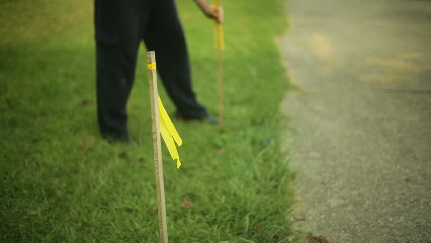 survey lines stakes in the ground.