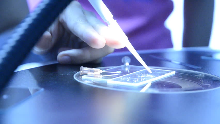 science biotechnology experiment, scientist using micro pipette