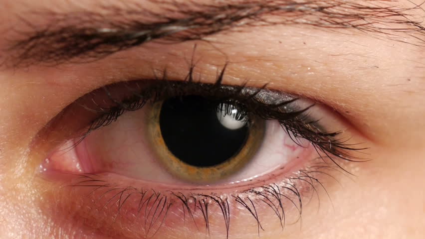 macro of human eye with iris dilated for retina examination