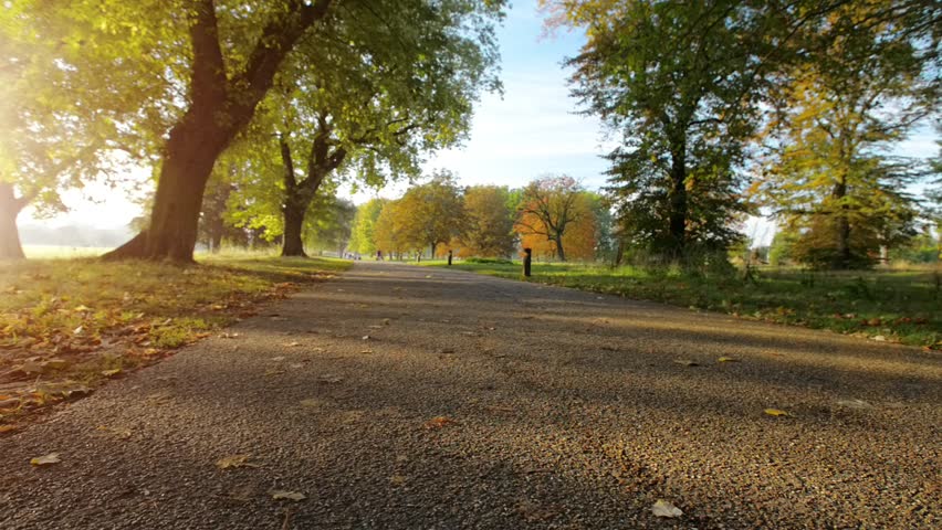 Road runner man running in park in the morning motion track high definition video