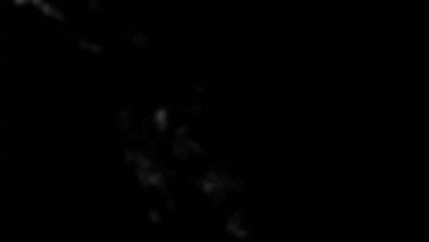 Animation of a network spreading rapidly across the globe.