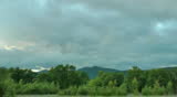 Summer evening before a rain, a large quantity of mosquitoes