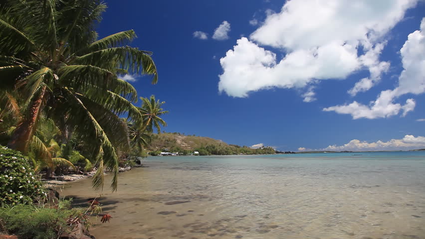 Beautiful  Bora Bora lagoon with palm hanging over the lagoon in French Polynesia (Realtime)