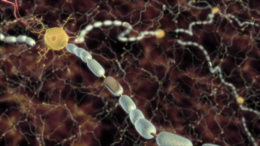 3D animation shows damage to oligodendrocyte or Schwann cell created myelin sheath along axon of neuron leading to disrupted propagation of action potential and slowed signal conduction through CNS 