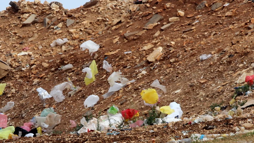 Soil and trash

Description: View on the landfill
