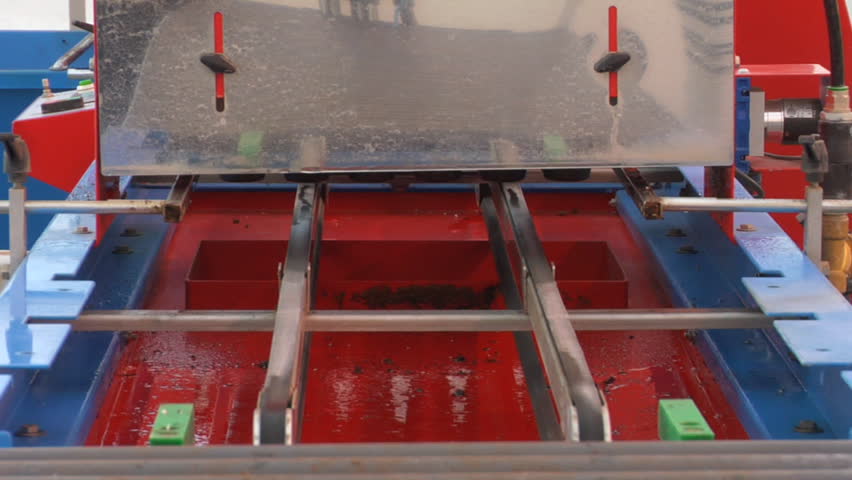 Conveyor with sprouts