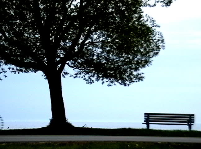 A group of cyclists ride along a beach boardwalk at dusk - moving from left to right.