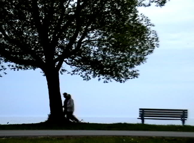 Two elderly women speedwalk (r to l) along a beach boardwalk; then a rollerblader passes through (r to l).