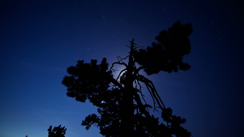 Night time lapse capturing the stars in pedrafroca mountains, spain, during the perseids meteor shower until dawn. Clouds passing and a scary tree silhouette in forefront.

