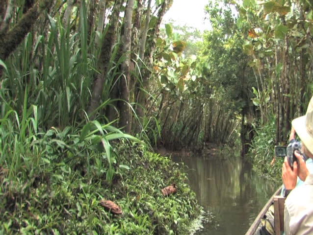 Canoeing the Amazon rivers