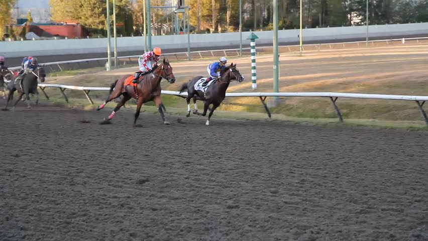 VANCOUVER, BC â OCTOBER 8th: Horse race at Hastings Racecourse on October 8th, 2012 in Vancouver, BC, Canada.  Hastings Racecourse is four miles from downtown Vancouver, British Columbia, Canada.
