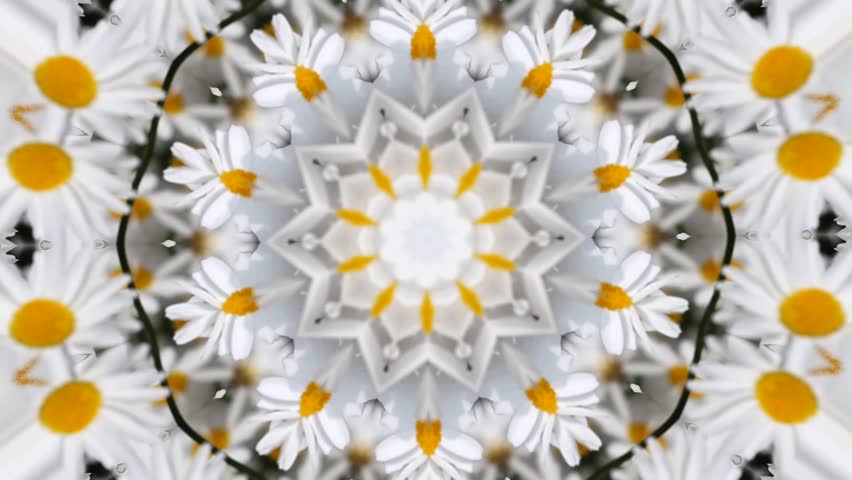 visual illusion light reflection 