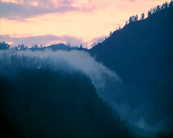 Foggy morning in mountains. Nature seamless loop background