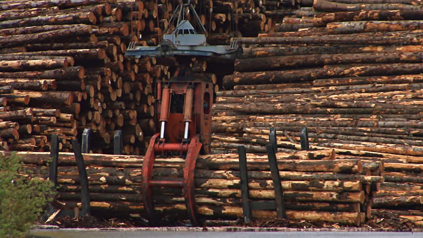 Heavy duty grapple dangling from gantry crane grabs a clutch of logs in the grapple, or grab, and hauls them up and away over a large log deck.