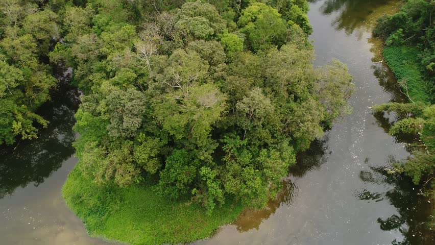 Guyana Stock Footage Video | Shutterstock