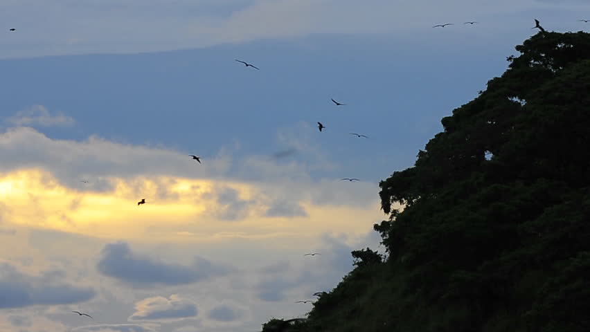Sunset at bird colony, Pacheca island, Las Perlas archipelago, Panama, Central America
