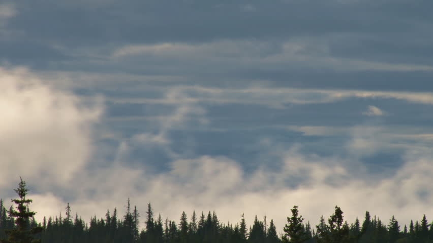 Clouds moving in two directions at different levels with trees in the foreground.