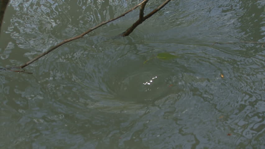 Close-up of a terrible whirlpool in an Alaskan forest river floodplain during high melt season.