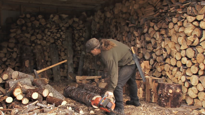 Slowly but surely, the woodshed fills up. Here, the woodcutter deposits log and saw before returning to the woods for the rest of the tree.