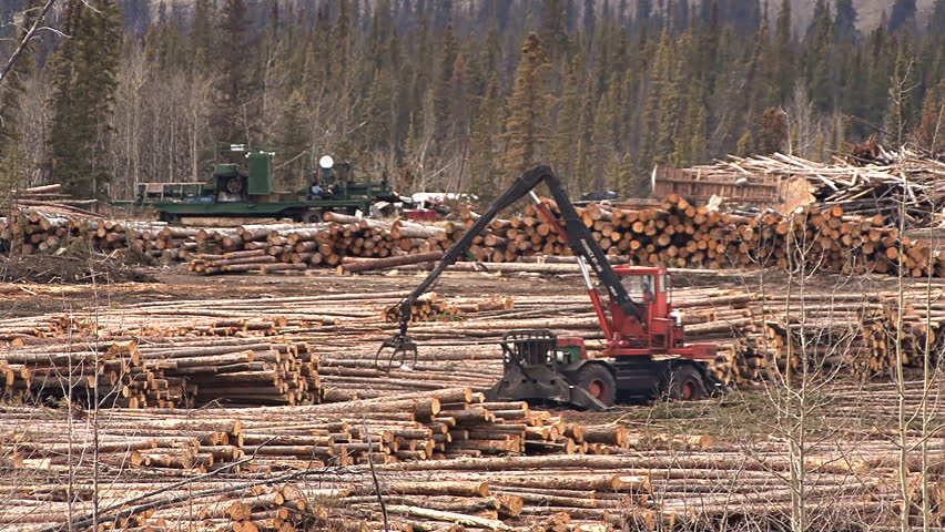 BRITISH COLUMBIA, CANADA - CIRCA 2012: A yarder works to rearrange logs in a logging operation.
