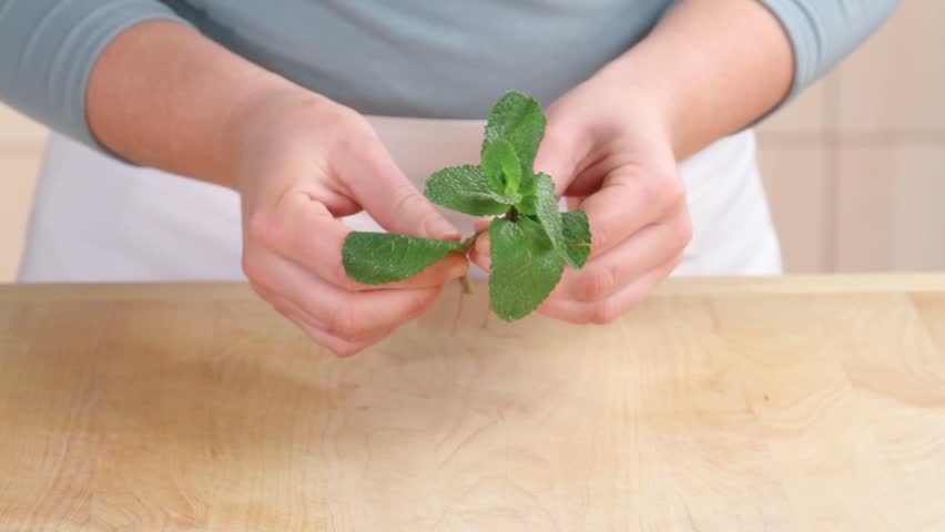 Mint leaves being removed from the stem