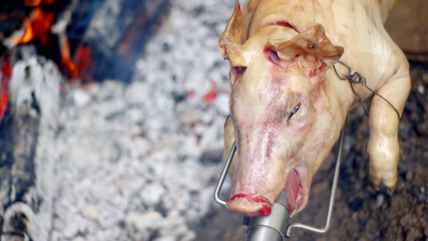 SUPER 35MM CAMERA - Pig on a spit. 