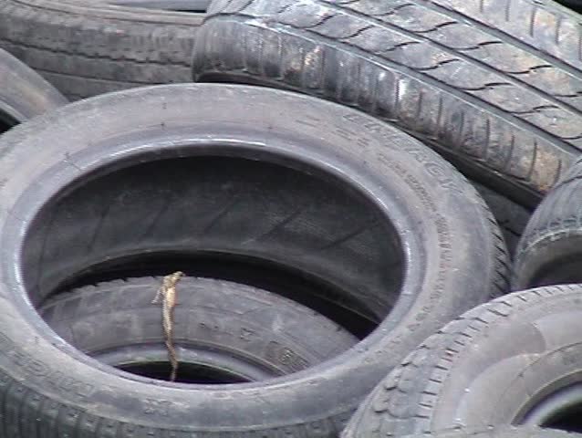Old abandoned used tires waiting for recycling