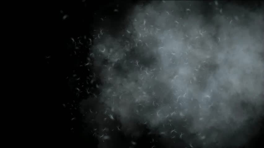 flying dandelion & catkins in smoke.