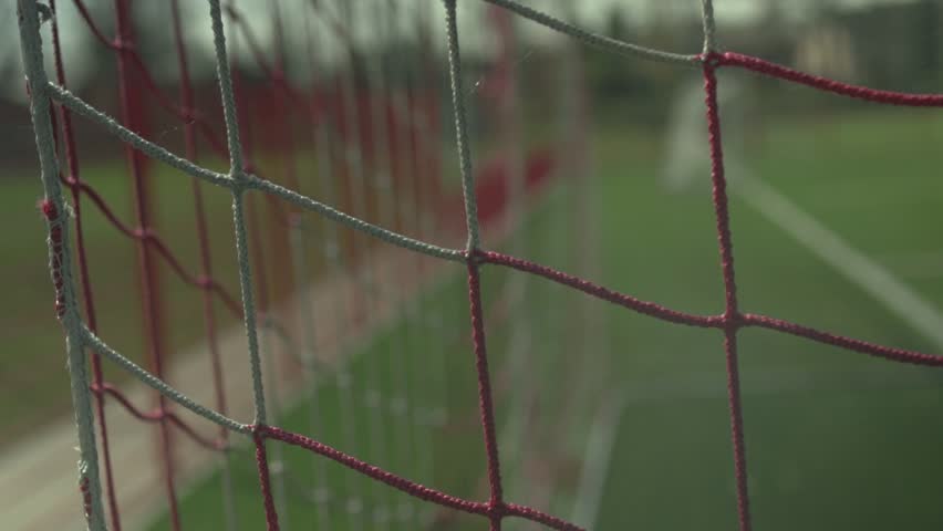 Soccer - penalty goal