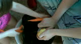 The child cleans a young potato for preparation of tasty soup