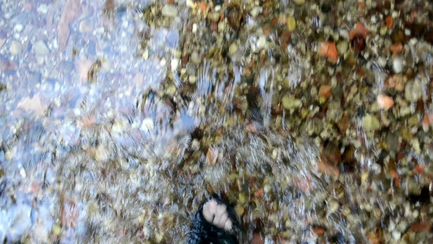 legs with flip-flop shoes walk imitation through forest park brook stream water flow